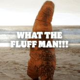 a person in a dinosaur costume is walking on the beach