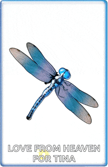 a blue dragonfly with the words love from heaven for tina on the bottom