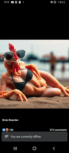 a picture of a chicken in a bikini and sunglasses