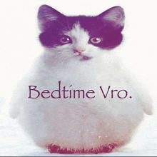 a black and white cat with the words bedtime vro