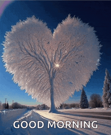 a picture of a heart shaped tree with the words good morning on the bottom