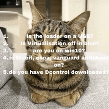 a cat is sitting on a couch with a question asking if the cat is the loader on a usb