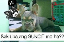 a picture of a dog with the words bakit ba ang sungit mo ha below it