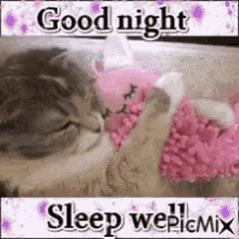 a cat is sleeping on a pink pillow with the words `` good night sleep wepicmix '' .