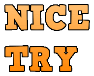 the words nice try are in orange letters on a white background