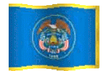 a blue flag with an eagle in a circle and the words united states of america