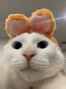 a white cat wearing bunny ears and a bow