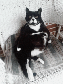 a black and white cat sits on a wicker chair