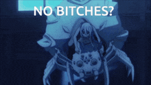 a picture of a spider with the words " no bitches " written above it