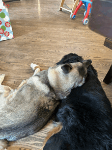 two dogs are laying on a wooden floor with a gift bag in the background