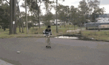 a person is riding a scooter down a road in a park