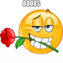 a smiley face is holding a red rose in its mouth with the words boobs written below it