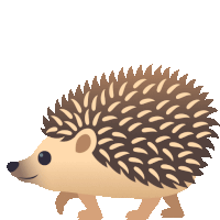 a hedgehog is walking on a white background and looking at the camera