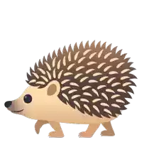 a hedgehog is walking on a white background and looking at the camera