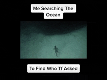 a video of a person swimming in the ocean with the caption " me searching the ocean "