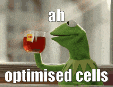 kermit the frog is holding a glass of tea and says ah optimised cells .