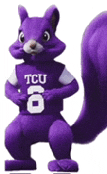 a purple squirrel wearing a tcu jersey is standing on a white background .