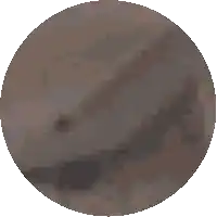 a pixelated image of a brown circle with a white border