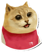 a sticker of a cat wearing a red shirt with the letters sd on it