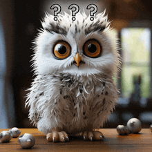 an owl with a question mark above its head