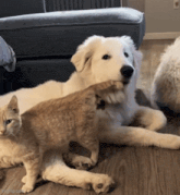 a dog and a cat are laying on a wooden floor in a living room