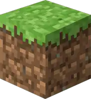 a minecraft block with a piece of grass on it