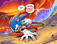 a cartoon of sonic the hedgehog with a speech bubble that says i 've got your limit right here