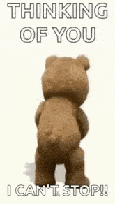 a teddy bear is holding a can of soda and says `` thinking of you , i can 't stop ! ''