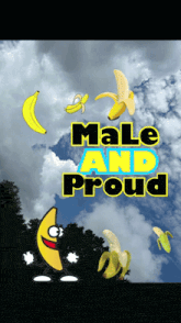 a poster that says male and proud on it