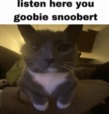 a gray and white cat is being held in someone 's arms with the caption listen here you goobie snoobert