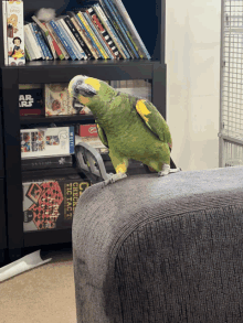 a green parrot sits on a couch in front of a bookshelf with a star wars book