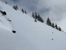 a snowboarder is going down a snow covered slope with trees in the background