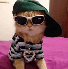 a cat wearing sunglasses , a hat and a heart necklace .