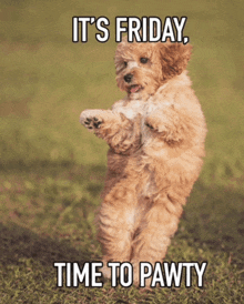 a dog standing on its hind legs with the words it 's friday time to pawty on the bottom