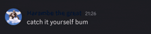 a screenshot of a message from harambe the great