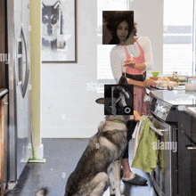 a dog looking at a woman cooking in a kitchen with alamy written on the bottom