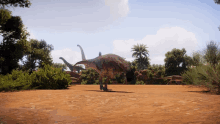 a group of dinosaurs standing in a dirt field