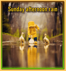 a sunday afternoon rain greeting card with a boy and ducks