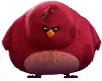 a red angry bird with a yellow beak and feathers on its head