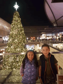 two children standing in front of a christmas tree in a shopping mall