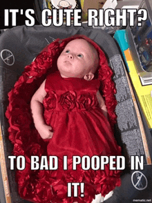 a baby in a red dress with the caption it 's cute right to bad i pooped in it ..