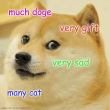 a dog with the words much doge very gift very sad many cat