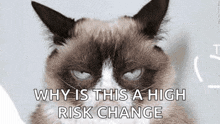 a grumpy cat is looking at the camera with the words `` why is this a high risk change '' written below it .