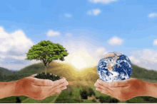 two hands holding a tree and a globe in their hands .