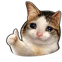 a brown and white cat is giving a thumbs up sign