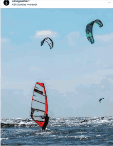 a picture of a person windsurfing in the ocean with the caption alinegoodhart