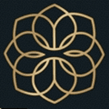 a gold flower on a black background with circles