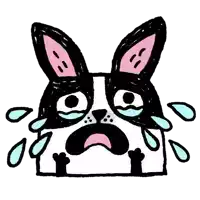 a black and white dog with pink ears is crying with tears coming out of its eyes