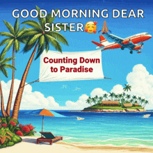 an airplane is flying over a beach with a banner that says counting down to paradise