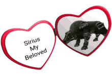 a heart shaped mirror with the words sirius my beloved